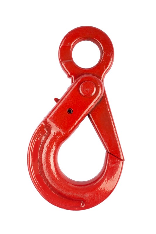 Крюк самозакрывающийся с проушиной TOR 5,3 т (W) фотография Крюк самозакрывающийся с проушиной TOR 5,3 т (W) - фото
