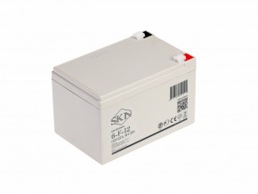 Аккумулятор для ИБП SKN 6-F-12 (12V12A/H C20) в Екатеринбурге - avtopogruzchiki.com
