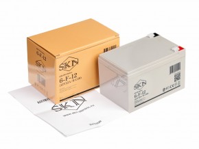 Аккумулятор для ИБП SKN 6-F-12 (12V12A/H C20) в Екатеринбурге - avtopogruzchiki.com