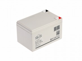 Аккумулятор для ИБП SKN 6-F-12 (12V12A/H C20) в Екатеринбурге - avtopogruzchiki.com