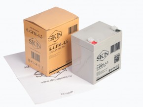 Аккумулятор для ИБП SKN 6-GFM-4.5 (12V4.5A/H C20) в Екатеринбурге - avtopogruzchiki.com
