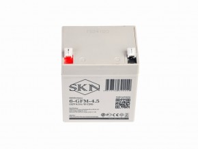 Аккумулятор для ИБП SKN 6-GFM-4.5 (12V4.5A/H C20) в Екатеринбурге - avtopogruzchiki.com