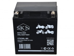 Аккумулятор стартерный для мототехники SKN YTX30L-BS (12V/30Ah/300A) [CT 1230, YTX30L] в Екатеринбурге - avtopogruzchiki.com