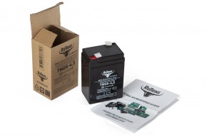 Аккумуляторная батарея RuTrike TNG6-4,5 (6V4,5A/H C20) в Екатеринбурге - avtopogruzchiki.com