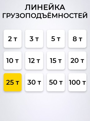 Домкрат гидравлический г/п 25,0 т TOR ДГ-25 в Екатеринбурге - avtopogruzchiki.com