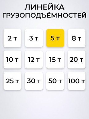 Домкрат гидравлический г/п 5,0 т TOR ДГ-5 в Екатеринбурге - avtopogruzchiki.com