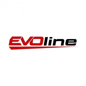 Двигатель бензиновый EVOline 190 FA2 в Екатеринбурге - avtopogruzchiki.com