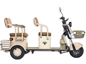 Электротрицикл Rutrike Gelbert Atlas 48V/60V 600Вт в Екатеринбурге - avtopogruzchiki.com