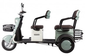 Электротрицикл Rutrike Gelbert Beta 48V/60V 800Вт в Екатеринбурге - avtopogruzchiki.com