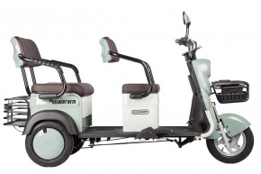 Электротрицикл Rutrike Gelbert Beta 48V/60V 800Вт в Екатеринбурге - avtopogruzchiki.com