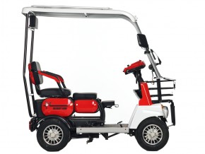 Электротрицикл Rutrike Gelbert Lich 48V/60V 600Вт в Екатеринбурге - avtopogruzchiki.com