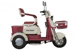 Электротрицикл Rutrike Gelbert Mercury 48V/60V 650Вт в Екатеринбурге - avtopogruzchiki.com