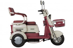 Электротрицикл Rutrike Gelbert Mercury 48V/60V 650Вт в Екатеринбурге - avtopogruzchiki.com