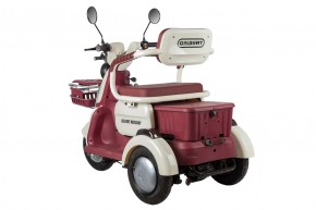 Электротрицикл Rutrike Gelbert Mercury 48V/60V 650Вт в Екатеринбурге - avtopogruzchiki.com