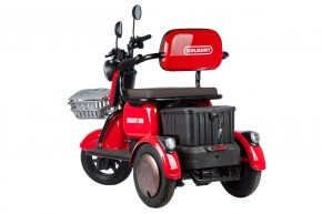 Электротрицикл Rutrike Gelbert Sun 48V/60V 650Вт в Екатеринбурге - avtopogruzchiki.com