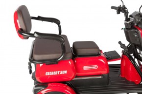 Электротрицикл Rutrike Gelbert Sun 48V/60V 650Вт в Екатеринбурге - avtopogruzchiki.com