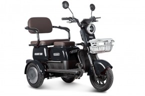 Электротрицикл Rutrike Gelbert Sun 48V/60V 650Вт в Екатеринбурге - avtopogruzchiki.com