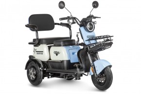 Электротрицикл Rutrike Gelbert Vega 48V/60V 600Вт в Екатеринбурге - avtopogruzchiki.com