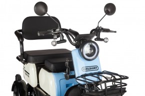 Электротрицикл Rutrike Gelbert Vega 48V/60V 600Вт в Екатеринбурге - avtopogruzchiki.com