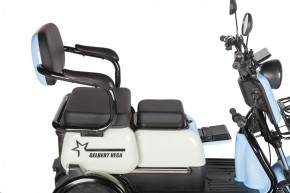 Электротрицикл Rutrike Gelbert Vega 48V/60V 600Вт в Екатеринбурге - avtopogruzchiki.com