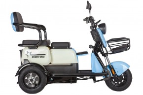 Электротрицикл Rutrike Gelbert Vega 48V/60V 600Вт в Екатеринбурге - avtopogruzchiki.com