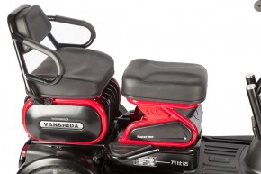 Электротрицикл Wanshida HOT HATCH 60V 650Вт в Екатеринбурге - avtopogruzchiki.com