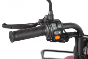 Электротрицикл Wanshida LC-F200 60V 1000Вт в Екатеринбурге - avtopogruzchiki.com