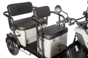 Электротрицикл Wanshida LC300 60V 1000Вт в Екатеринбурге - avtopogruzchiki.com