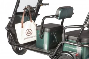 Электротрицикл Wanshida NIPLA 500 60V 1000Вт в Екатеринбурге - avtopogruzchiki.com