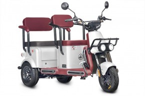 Электротрицикл Wanshida U1-X 60V 800Вт в Екатеринбурге - avtopogruzchiki.com