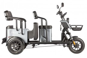 Электротрицикл Wanshida UM+ 60V 1000Вт в Екатеринбурге - avtopogruzchiki.com