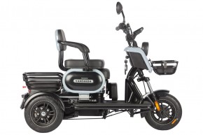 Электротрицикл Wanshida UN MOTO 60V 650Вт в Екатеринбурге - avtopogruzchiki.com