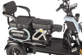 Электротрицикл Wanshida UN MOTO 60V 650Вт в Екатеринбурге - avtopogruzchiki.com