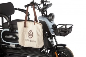 Электротрицикл Wanshida UN MOTO 60V 650Вт в Екатеринбурге - avtopogruzchiki.com