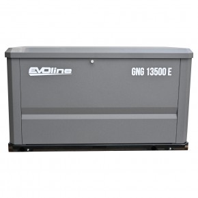 Генератор газовый EVOline GNG 13500 E в Екатеринбурге - avtopogruzchiki.com