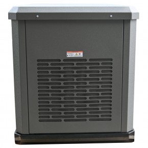 Генератор газовый EVOline GNG 13500 E в Екатеринбурге - avtopogruzchiki.com