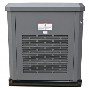 Генератор газовый EVOline GNG 13500 E в Екатеринбурге - avtopogruzchiki.com