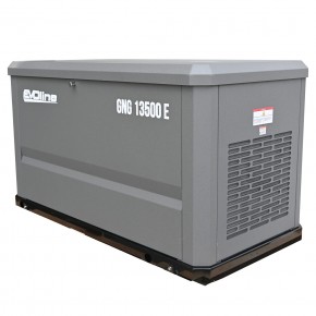 Генератор газовый EVOline GNG 13500 E в Екатеринбурге - avtopogruzchiki.com