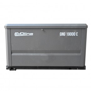 Генератор газовый EVOline GNG 19000 E в Екатеринбурге - avtopogruzchiki.com