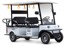 Гольф-кар мини Gelbert Fact 60V 1200Вт в Екатеринбурге - avtopogruzchiki.com