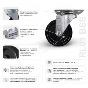 RONEL RL01 BSS 100 в Екатеринбурге - avtopogruzchiki.com