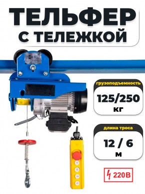 С ТЕЛЕЖКОЙ таль электрическая TOR PA 125/250 кг 12/6 м в Екатеринбурге - avtopogruzchiki.com
