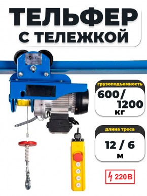 С ТЕЛЕЖКОЙ таль электрическая TOR PA 600/1200 кг 12/6 м в Екатеринбурге - avtopogruzchiki.com