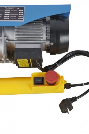 Таль электрическая TOR PA 125/250 кг 12/6 м (серия T) в Екатеринбурге - avtopogruzchiki.com