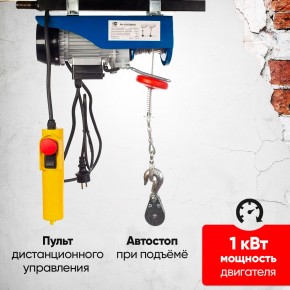 Таль электрическая TOR PA 250/500 кг 12/6 м в Екатеринбурге - avtopogruzchiki.com
