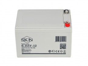 Тяговый аккумулятор SKN 6-DZF-12 (12V14.5A/H C5) в Екатеринбурге - avtopogruzchiki.com
