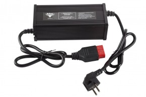 Зарядное устройство интеллектуальное для Li литиевых аккумуляторов 24V50AH(10А) Anderson - фотография Зарядное устройство интеллектуальное для Li литиевых аккумуляторов 24V50AH(10А) Anderson в Екатеринбурге - avtopogruzchiki.com